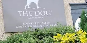 Dog Inn At Wingham