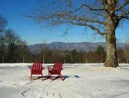 Fire Mountain Inn Cabins & Treehouses