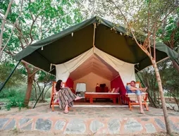 Yala National Park Camping