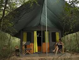 Mahoora Tented Safari Camp - Wilpattu