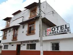 Hotel Posada Camelinas