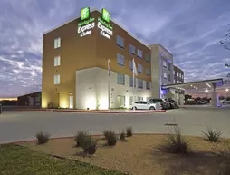 Holiday Inn Express and Suites Brookshire Katy Freeway