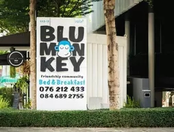 Blu Monkey Bed and Breakfast