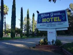 Blue Gum Motel