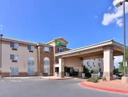 Holiday Inn Express Hotel & Suites Farmington