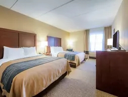 Comfort Inn Pioneer