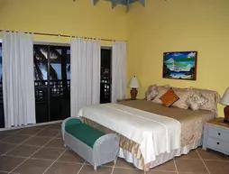 Fort Recovery Beachfront Villa and Suites