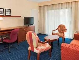 Courtyard By Marriott Baltimore BWI Airport