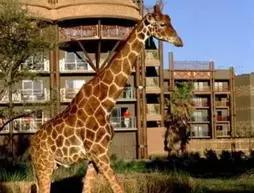 Disney's Animal Kingdom Lodge