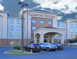 Comfort Suites Columbia Gateway