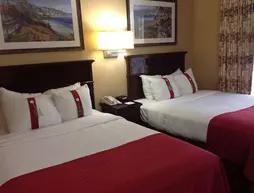 Holiday Inn Hotel & Suites Tampa N - Busch Gardens Area