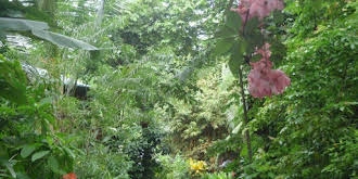 Pachamama Tropical Garden Lodge