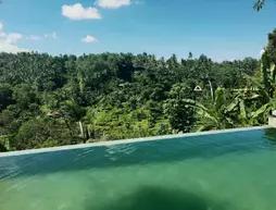 Ubud Green View Villas