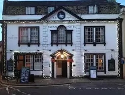 The Swan