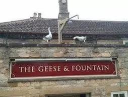 The Geese and Fountain