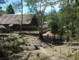 Amazon Queen Lodge