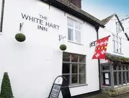 The White Hart - Inn