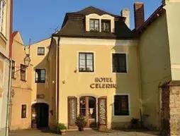 Hotel Celerin