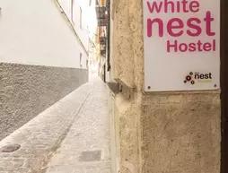 White Nest Hostel
