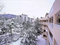 Yongpyong Resort Villa Condominium