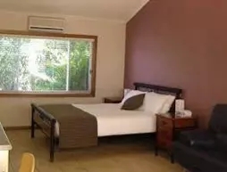 Koala Tree Motel