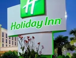 Holiday Inn and Suites Mount Pleasant