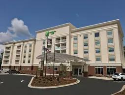 Holiday Inn and 38 Suites Asheville Biltmore Vlg Area