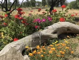 Cabana Toros Pintos