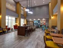 Hampton Inn and Suites Wichita/Airport