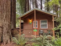 Emerald Forest Cabins