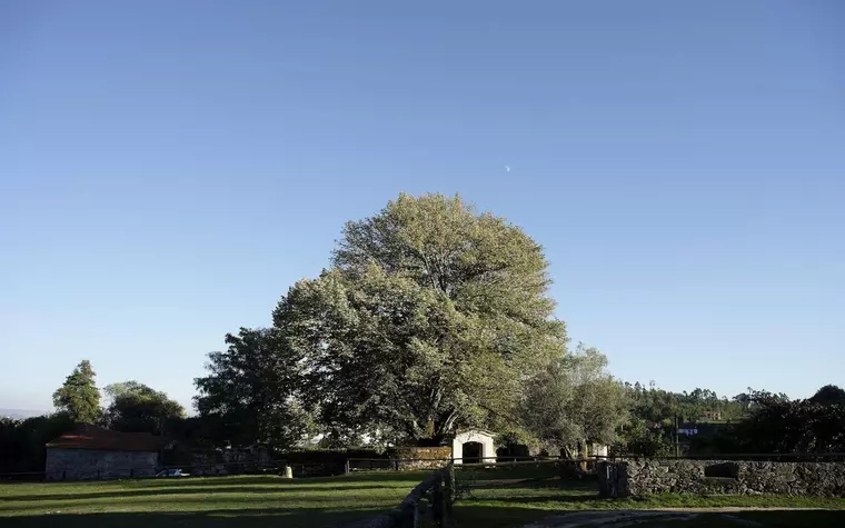 Quinta do Rapozinho