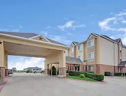 Microtel Inn and Suites Dallas Mesquite