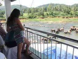Hotel Elephant Park