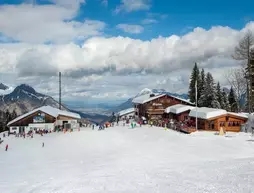 Berghotel Alpina