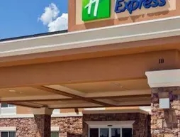 Holiday Inn Express and Suites McAllen Medical Center Area