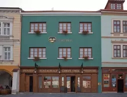 Hotel & Pivovar CERNÝ OREL