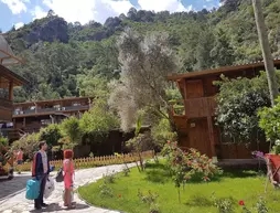 Turkmen Tree Houses