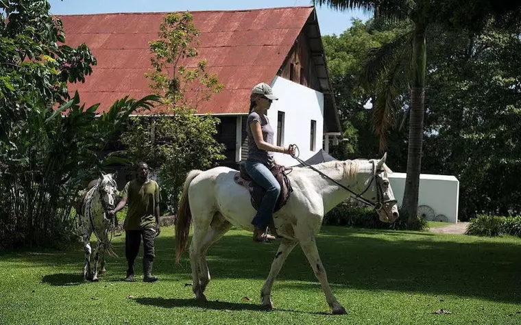 Ngare Sero Mountain Lodge