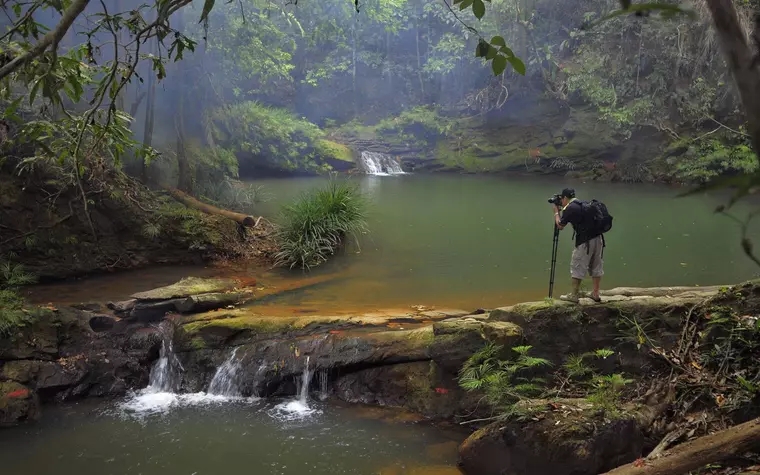 Borneo Tropical Rainforest Resort