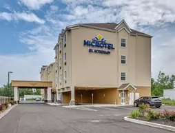 Microtel Inn and Suites by Wyndham Niagara Falls