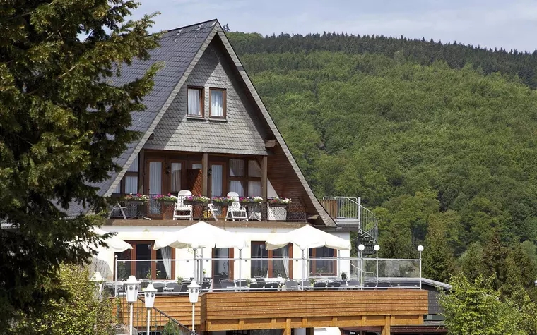 Wald Hotel Willingen