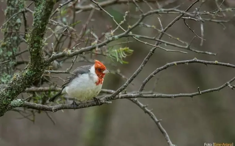 Estancia Río de las Aves