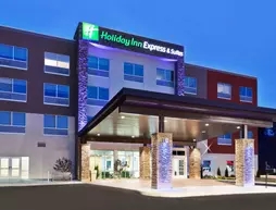 Holiday Inn Express and Suites Cartersville