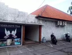 White Dove Villa