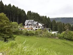 Wald Hotel Willingen