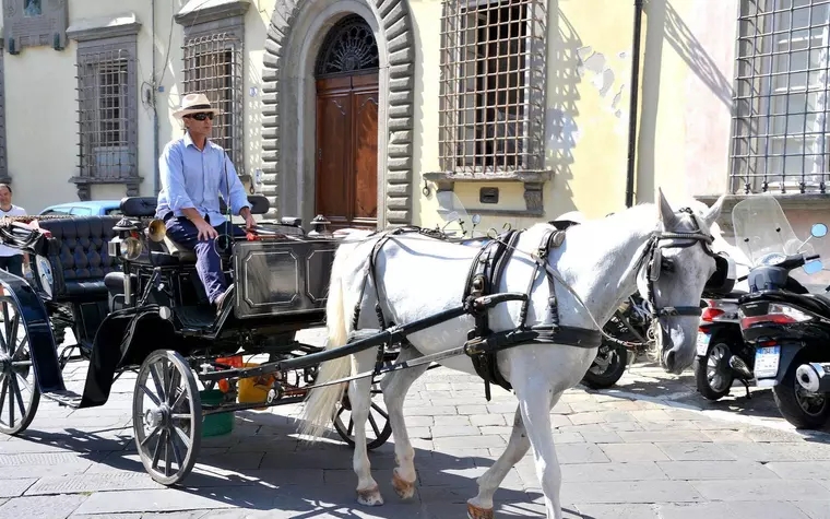 Dimora Dei Guelfi