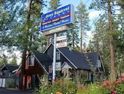 Elk Cottage at Grey Squirrel Resort