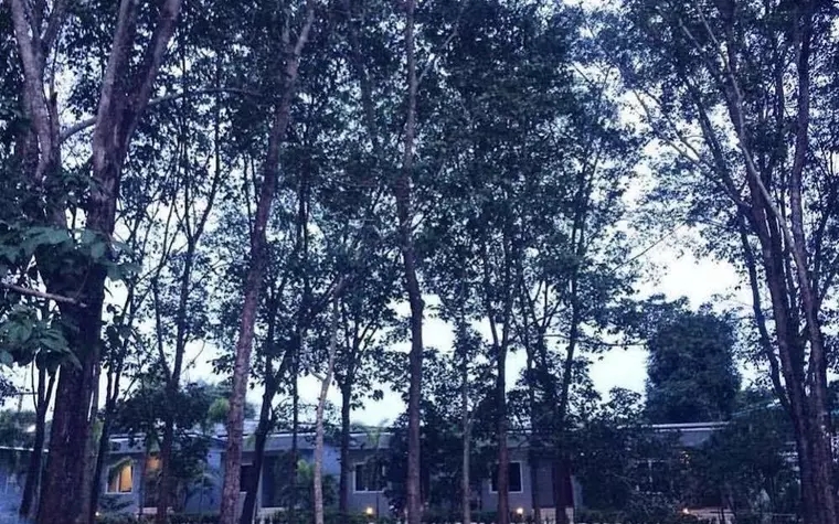 Saiyuan Garden Resort
