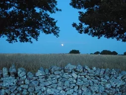 Trulli Gallo Rosso