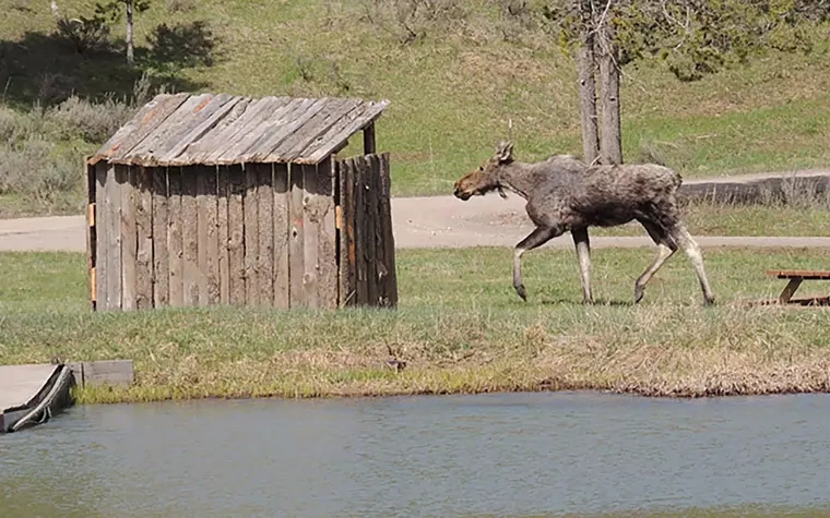 Eagle Ridge Ranch